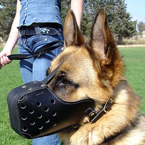 leather-dog-muzzle-agitation-attack-police-schutzhund-k9_lrg leather-dog-muzzle-agitation-attack-police-schutzhund-k9_lrg