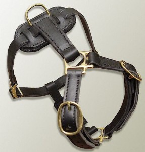 Luxury tracking leather Rottweiler harness - H7
