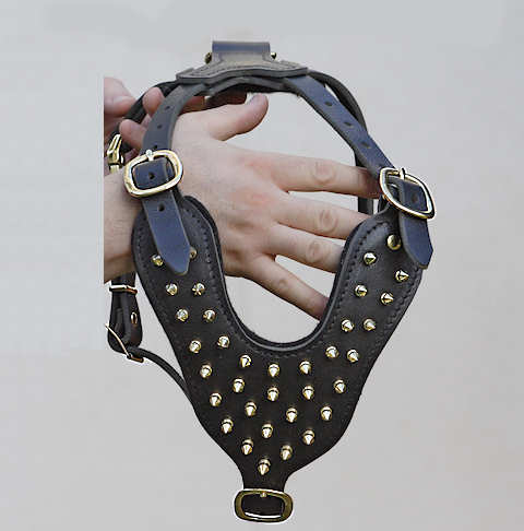 Padded extra strong spiked bling bling leather ROTTWEILER harness - H9 gold Padded extra strong spiked bling bling leather ROTTWEILER harness - H9 gold