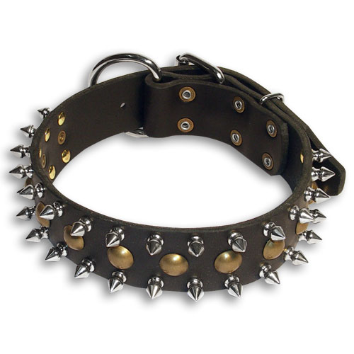 ROTTWEILER Spiked Studded Dog Collar- leather custom dog collar - S55 ROTTWEILER Spiked Studded Dog Collar- leather custom dog collar - S55
