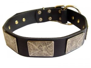 Gorgeous War Dog Leather Dog Collar - for ROTTWEILER -c83 Gorgeous War Dog Leather Dog Collar - for ROTTWEILER -c83