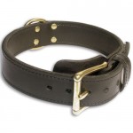 Handmade Two Ply Leather Dog Collar for ROTTWEILER - C33NH 