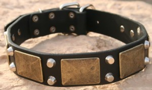 Leather Dog Collar with brass plated plates and 2 nickel pyramids for ROTTWEILER - C85 Leather Dog Collar with brass plated plates and 2 nickel pyramids for ROTTWEILER - C85