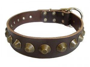 Gorgeous Wide Brown Leather Dog Collar for ROTTWEILER dog collar - C74 Gorgeous Wide Brown Leather Dog Collar for ROTTWEILER dog collar - C74