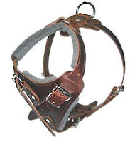 Selling adjustable dog harness info ROTTWEILER Selling adjustable dog harness info ROTTWEILER