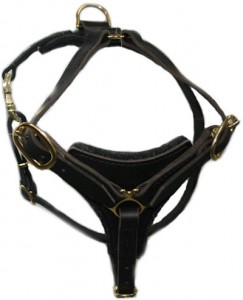 Found Dog Walking Harness for ROTWEILER Found Dog Walking Harness for ROTWEILER