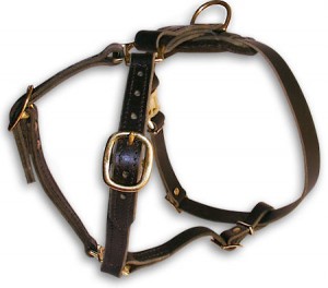 How to put Leather Dog Harness for ROTTWEILER 