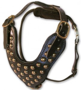 Found Leather Studded Dog Harness for ROTTWEILER Found Leather Studded Dog Harness for ROTTWEILER