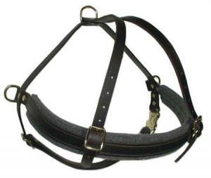 Customize Tracking Dog Harness for ROTTWEILER ? read following - it takes only few minutes to know this subject better Customize Tracking Dog Harness for ROTTWEILER ? read following - it takes only few minutes to know this subject better