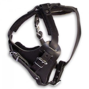SELLING Control Dog Harness info ROTTWEILER