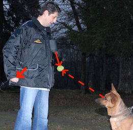 Rottweiler vest for dog trainer magic pocket dog training vest Rottweiler vest for dog trainer magic pocket dog training vest
