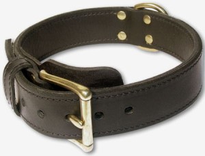 LOOKING FOR Leather Working Dog Collar for ROTTWEILER