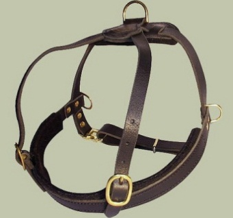 rottweiler pulling competition rottweiler padded pulling harness buy tracking harness for rottweiler rottweiler pulling competition rottweiler padded pulling harness buy tracking harness for rottweiler