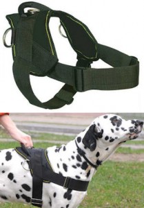 BEST Nylon Dog Training Harness / ROTTWEILER Nylon Harness
