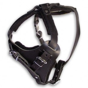 Rottweiler Breed leather dog agitation tracking harness Rottweiler Breed leather dog agitation tracking harness