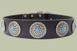 HAVE Designer dog collar-Leather Dog Collar for ROTTWEILER