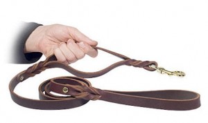 Rottweiler dog training lead leather leash