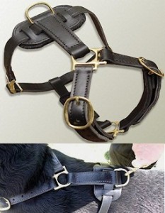 Rottweiler leather tracking harness dog Rottweiler leather tracking harness dog