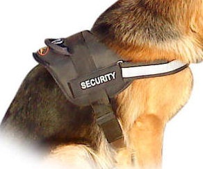 Rottweiler Nylon Patrol Harness Rottweiler Nylon Patrol Harness