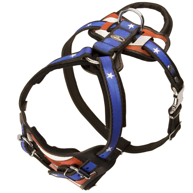 American Flag Handpainted Rottweiler Harness for Agitation/Protection Training