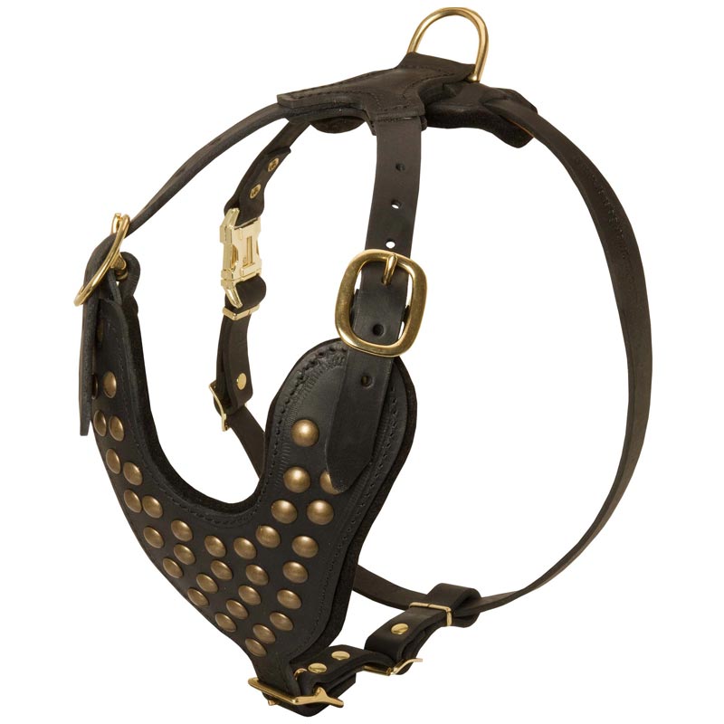 Luxury Studded Walking Leather Rottweiler Harness