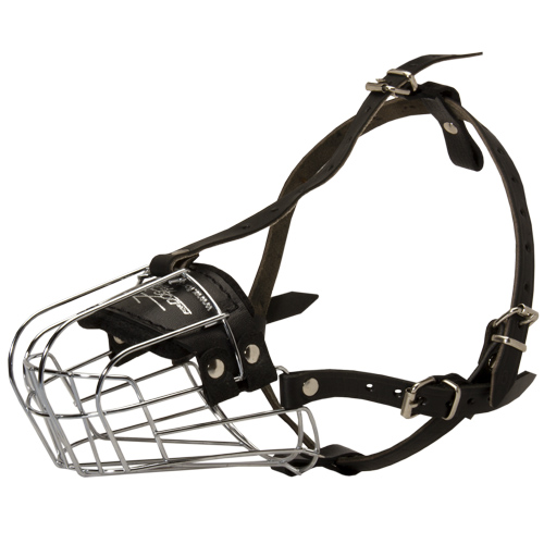 Comfortable Wire Cage Dog Muzzle for Rottweiler Walking and Training