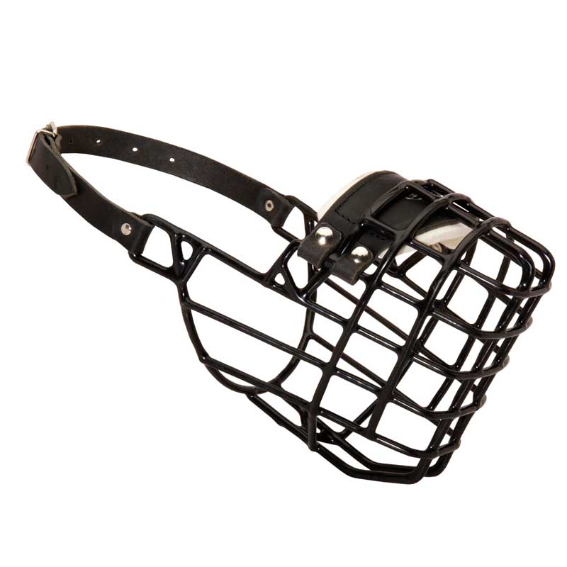 Wire Cage Rottweiler Dog Muzzle with One Strap for Winter Activities