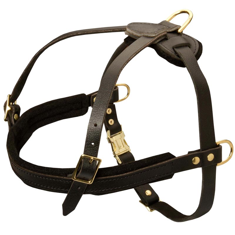 Tracking/Pulling/Agitation Leather Rottweiler Harness