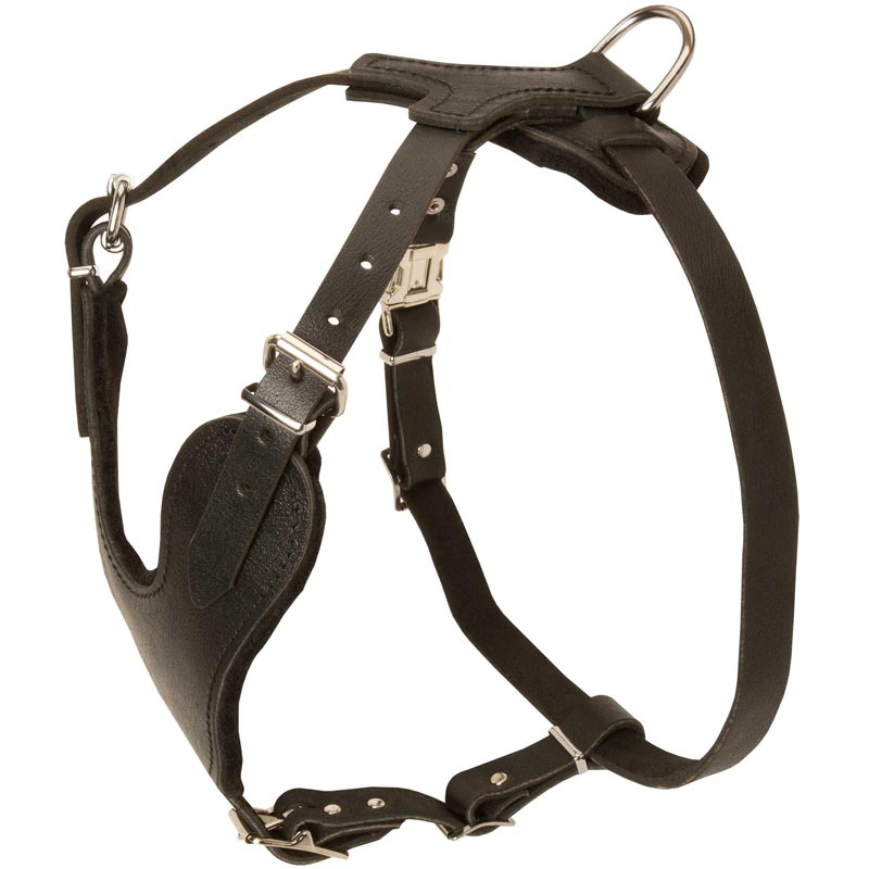 Exclusive Padded Leather Rottweiler Harness