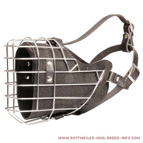 rottweiler cage size fully padded strong wire cage rottweiler muzzle for agitation rottweiler cage size fully padded strong wire cage rottweiler muzzle for agitation