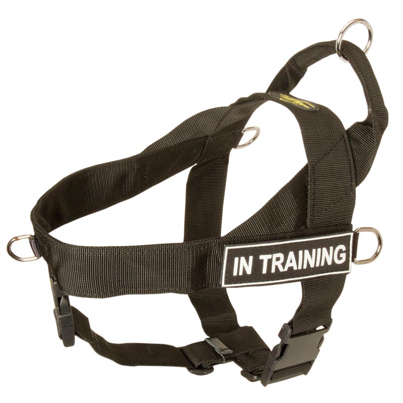 Nylon Rottweiler Harness for Training, Pulling, Tracking and SAR