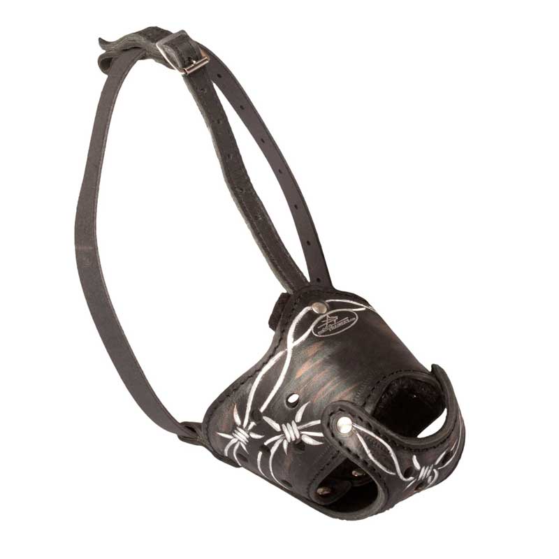 Handpainted Anti-Barking Leather Rottweiler Muzzle with Barbed Wire