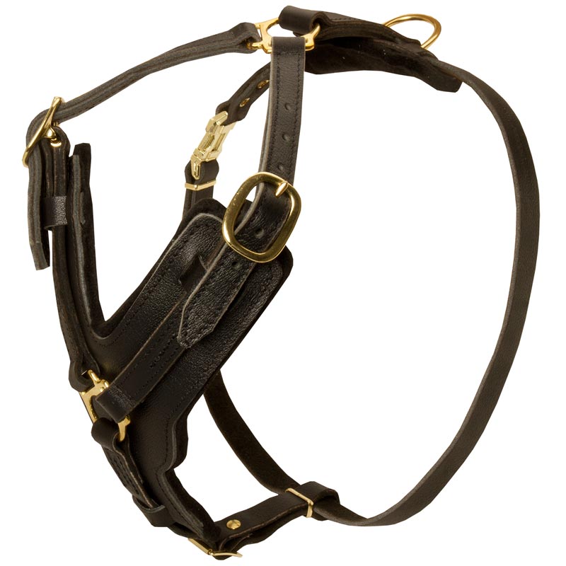 Exclusive Durable Leather Dog Harness for Rottweiler
