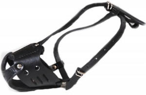 rottweiler dog muzzle