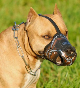 Rottweiler muzzle - m51 barbed wire 
