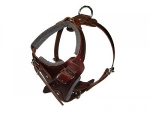 Padded extra strong leather Rottweiler harness - H1