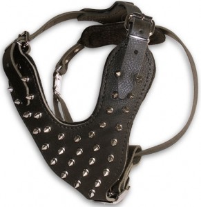 Padded extra strong spiked leather Rottweiler harness - H9