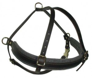 Padded pulling multipurpose leather Rottweiler harness - H5