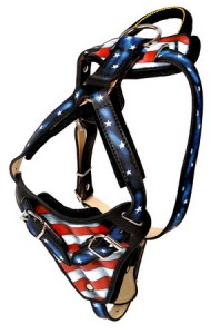 Padded hand painted leather Rottweiler harness - H1 - American Pride