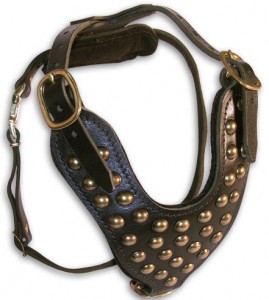 Padded extra strong studded leather Rottweiler harness - H15 