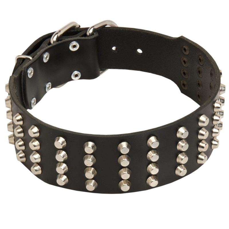 2 Inch Wide Studded Leather Rottweiler Collar