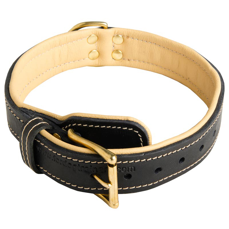 Royal Nappa Padded Handmade Elegant Leather Dog Collar for Rottweiler