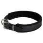 Adjustable Leather Padded Dog Collar Rottweiler Safe Walking