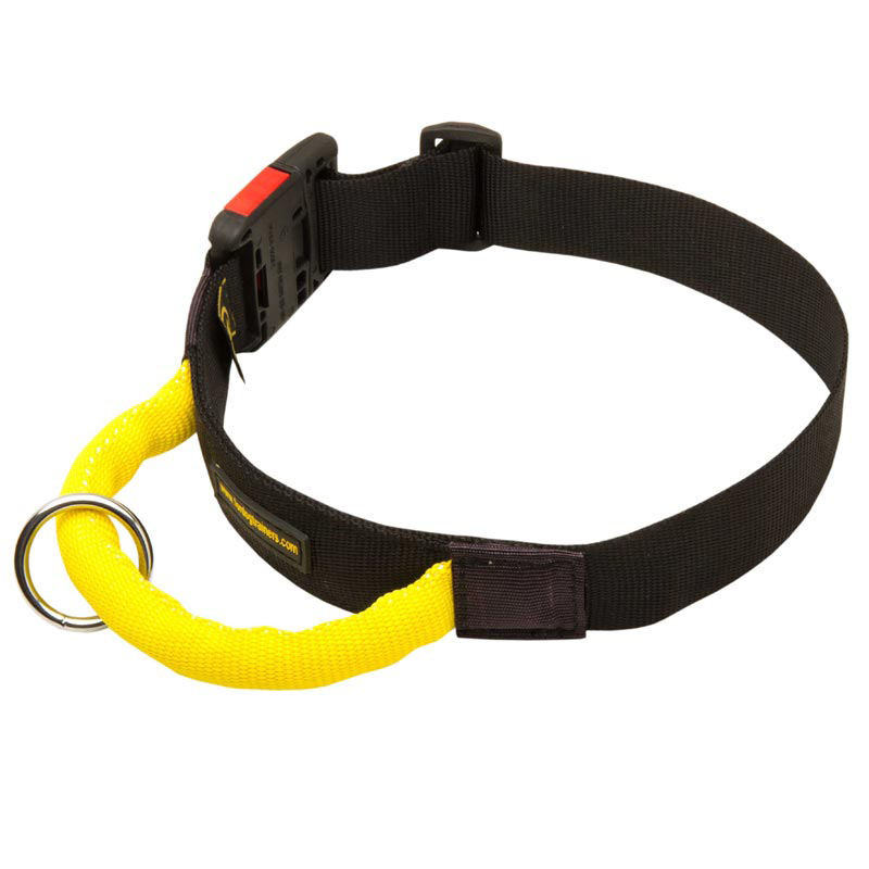 All Weather Heavy Duty Nylon Rottweiler Collar