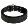 Adjustable Padded Leather Dog Collar Rottweiler Safe Training