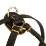 Adjustable Puppy Harness with D-Ring for Rottweiler