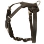 Adjustable Rottweiler Harness Leather Custom Made Dog Training Walking