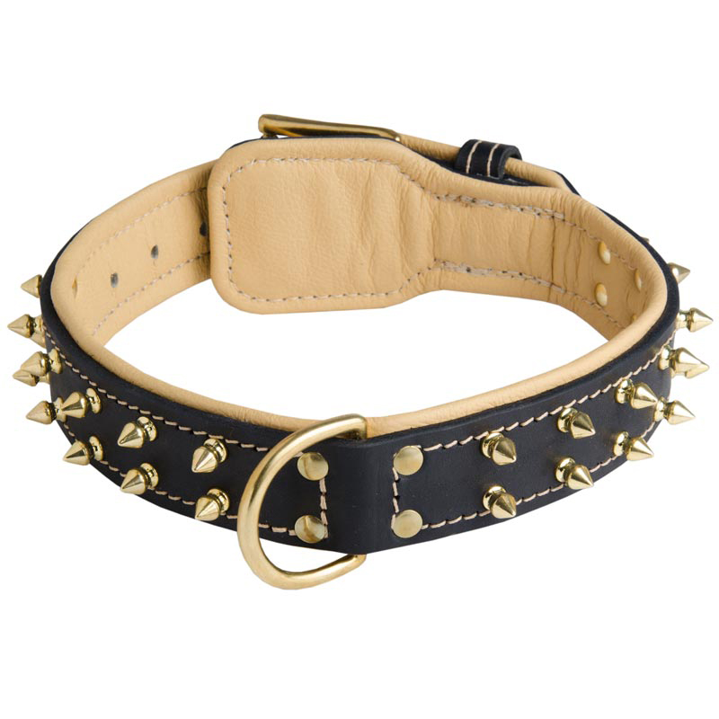 Royal Fashionable Spiked Leather Rottweiler Collar