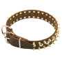 Adjustable Studded Spiked Leather Dog Collar Rottweiler