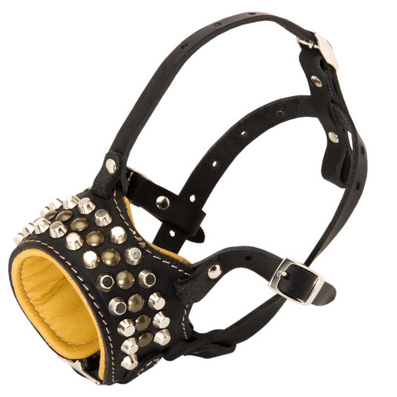 Handcrafted Nappa Padded Leather Rottweiler Muzzle with Studs